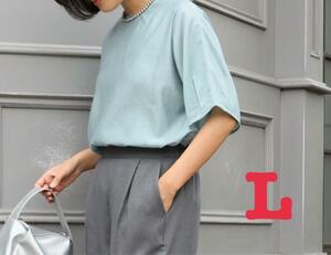  new goods shirt blouse lustre sia- blouse light blue lady's L