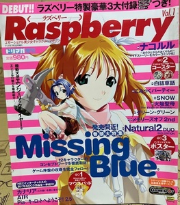 Raspberry ラズベリー　Vol.1　美少女キャラクターマガジン　ソフトバンクパブリッシング　パソコン・ゲーム。美少女キャラクター雑誌