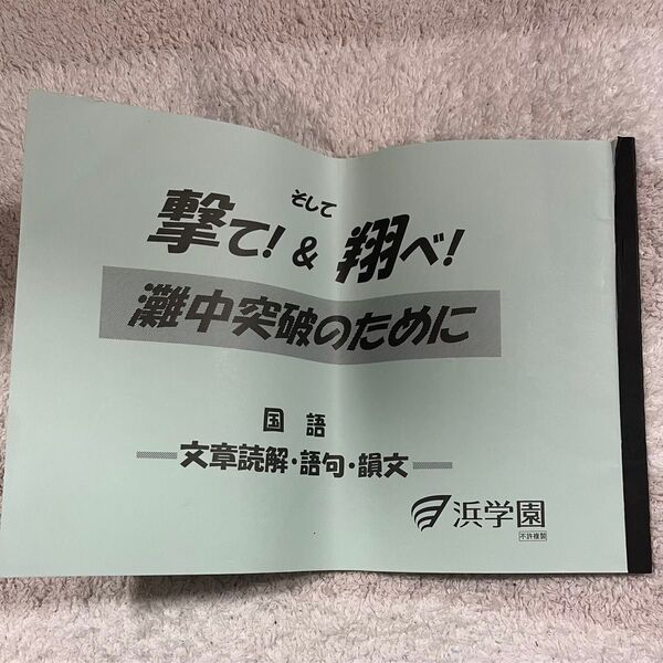 【値下げしました】浜学園国語