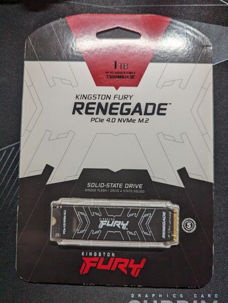 kingston fury renegade ssd 1tb SSD