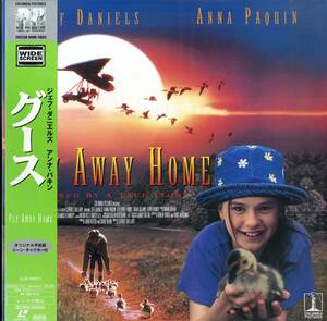 B00160833/LD/ Anna *pa gold [ Goose (Widescreen)]