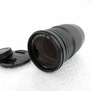 LUMIX G VARIO 100-300mm 1:4.0-5.6 MEGA O.I.S