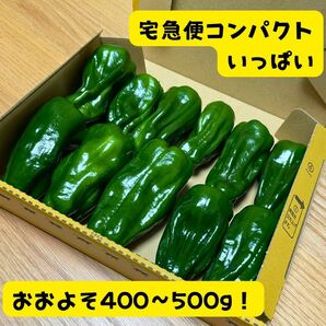 減農薬　ピーマン　さらら　宅急便コンパクト　箱いっぱい