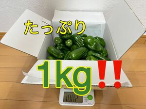 農家直送さららピーマン1kg