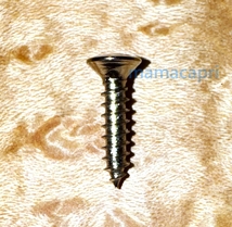 新品Fender Size Pickguard Screws 20本Chrome D=2.8mm L=13mmフェンダー サイズ ピックガード スクリュー ビス ネジ ボルト ねじ クローム_画像2