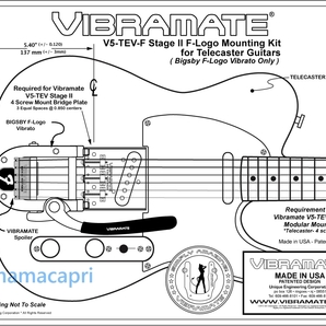 新品Vibramate Stage II V5-TEV-2-F F-LOGO Kit Silver For Bigsbyビグスビー B5 Fロゴ 用 ビブラメイトFender Telecasterテレキャスター等の画像8