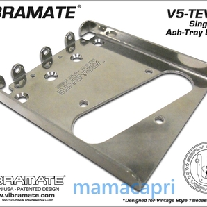 新品Vibramate Stage II V5-TEV-2-F F-LOGO Kit Silver For Bigsbyビグスビー B5 Fロゴ 用 ビブラメイトFender Telecasterテレキャスター等の画像4