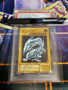 遊戯王　青眼の白龍　レリーフ　psa5