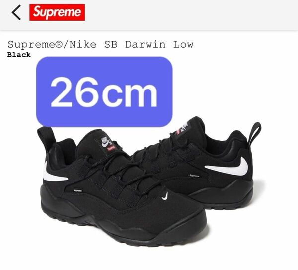 Supreme Nike SB Darwin Low Black 26cm