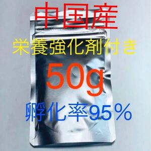 [kospa eminent new commodity ] free shipping extra attaching China production high quality b line shrimp 50g nutrition strengthen . sample attaching 
