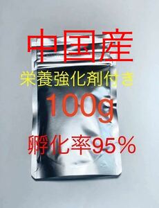 送料無料　おまけ付き　中国産　高品質ブラインシュリンプ　100g 栄養強化剤サンプル付き　100g袋小分け