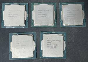 Intel Celeron G5905５枚セット 検:G5900 G5925