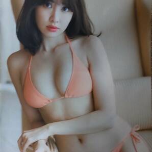 鈴木京香・かとうれいこ・綾瀬はるか（5P）・小嶋陽菜（7P）・松坂慶子など 袋とじ&切り抜き セットの画像7