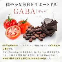 GABA ギャバ サプリ 21,000mg配合(1袋) 120粒 60日分 1日2粒350mg サプリメント タブレット GMP認定工場製造 ガンマアミノ酪酸 2袋セット_画像5