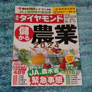 【最新号】週刊 ダイヤモンド 2024年5月11日号