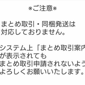 ちょっと訳あり メンズトップス★いろいろまとめて★の画像6