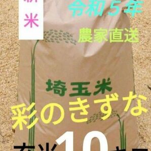 新米！ 令和５年 減農薬 埼玉県産 彩のきずな 玄米 10キロ