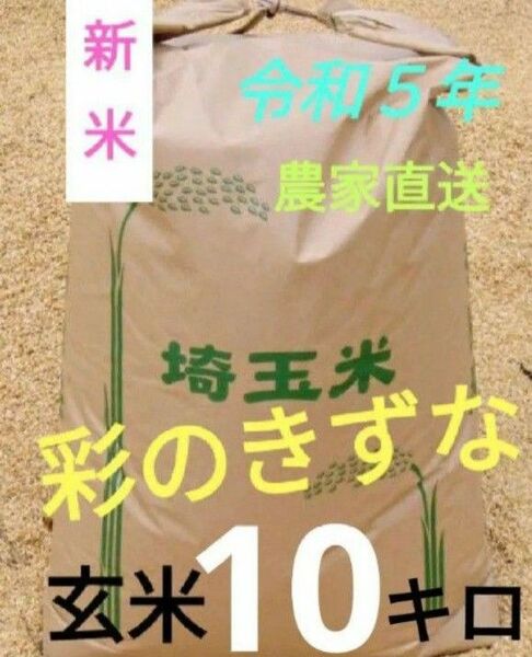 新米！ 令和５年 減農薬 埼玉県産 彩のきずな 玄米 10キロ