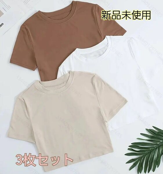 新品未使用 3枚セット割引価格！ 半袖 Tシャツ カットソー クロップド丈