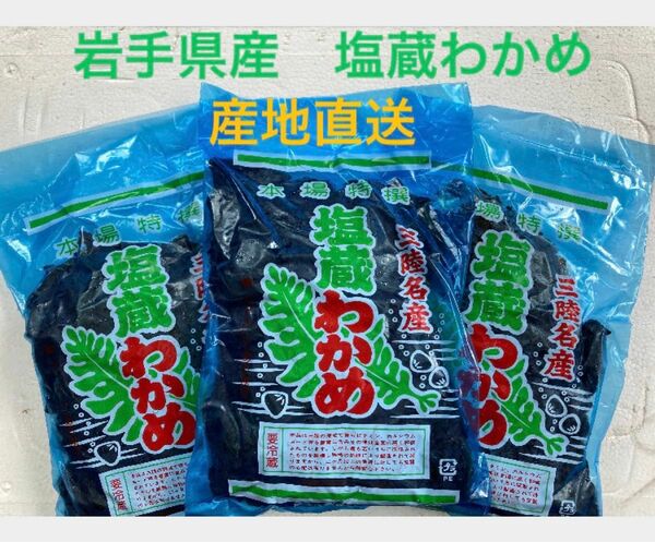 わかめ10袋 岩手県　産地直送　ブランドわかめ　おまけ付き　