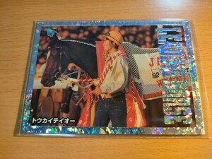 トウカイテイオー　RV9　リーディングホースカード　サラブレッドカード　1997上半期　競馬　競馬カード　メモリアル　レアカード