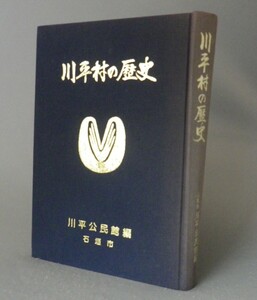 ☆川平村の歴史　　石垣市川平公民館編　（市町村字史誌・牧野清・石垣島・沖縄県・琉球）