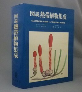 ☆図説　熱帯植物集成　　コーナー・渡辺清彦　（図鑑・植物・自然）