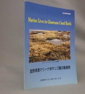 ☆宜野湾港マリーナ沖サンゴ礁の動植物　　（図鑑・生物・海中生物・魚・貝・サンゴ・琉球・沖縄）