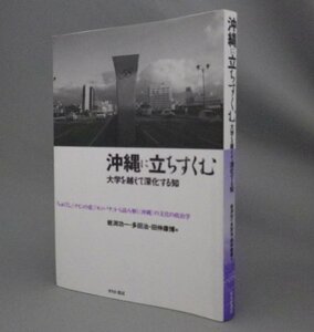 ☆沖縄に立ちすくむ　大学を越えて深化する知　　岩渕功一・多田治・田仲康博編　（文化・政治・沖縄・琉球）