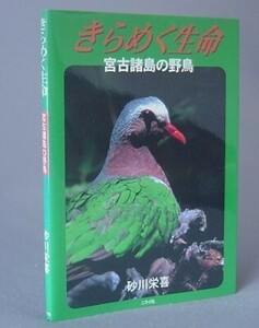 ☆きらめく生命　宮古諸島の野鳥　　砂川栄喜　（生物・沖縄・琉球）