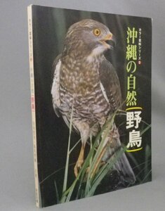 ☆沖縄の自然　野鳥　　◆カラー百科シリーズ　（生物・琉球・沖縄）