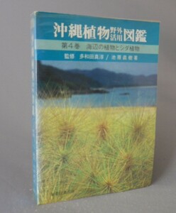 ☆沖縄植物野外活用図鑑　第４巻　海辺の植物とシダ　（琉球・沖縄）　