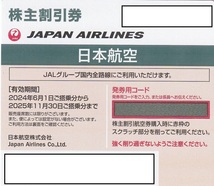 ★日本航空 JAL 株主割引券 1枚 2025年11月30日搭乗分まで有効 送料無料 案内書付き 海外/国内旅行(JALPAK)商品割引券付き　_画像1