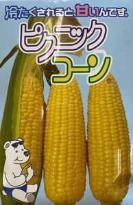 めっちゃ甘いピクニックコーン種子45粒 