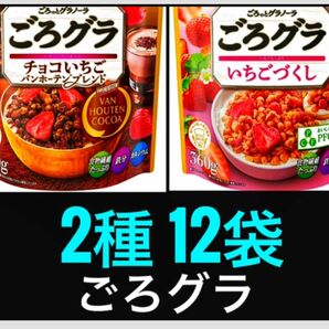 【大特価】日清シスコごろグラ　2種　【全12袋】　　 ★日本全国、沖縄、離島も送料無料