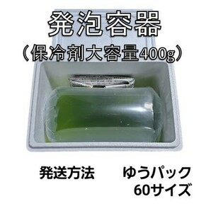 タマミジンコ10g+α30,000匹「めだか金魚熱帯魚の生き餌に！」の画像3