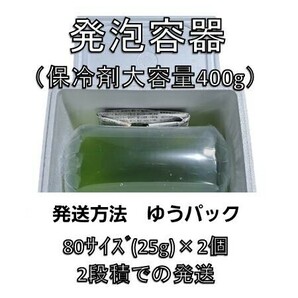 タマミジンコ50g+α150,000匹「めだか金魚熱帯魚の生き餌に！」の画像3