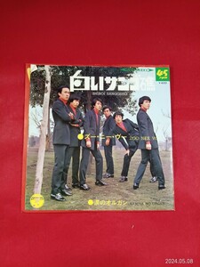 キキ52 ズー・ニー・ヴー　/ 白いサンゴ礁　　　　EP盤レコード GS