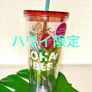 【日本未発売】ハワイ限定　スタバ　タンブラー