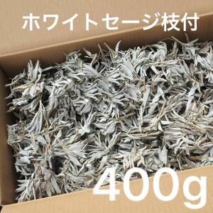 激安お買い得☆400g＜浄化☆邪気祓い☆カリフォルニア産ホワイトセージ枝付き＞