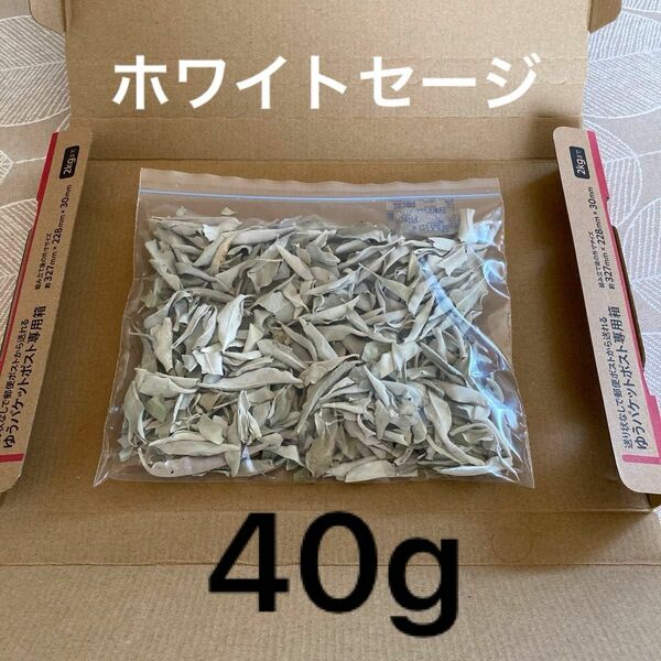 激安お買い得☆40g＜浄化☆邪気祓い☆カリフォルニア産ホワイトセージリーフ＞