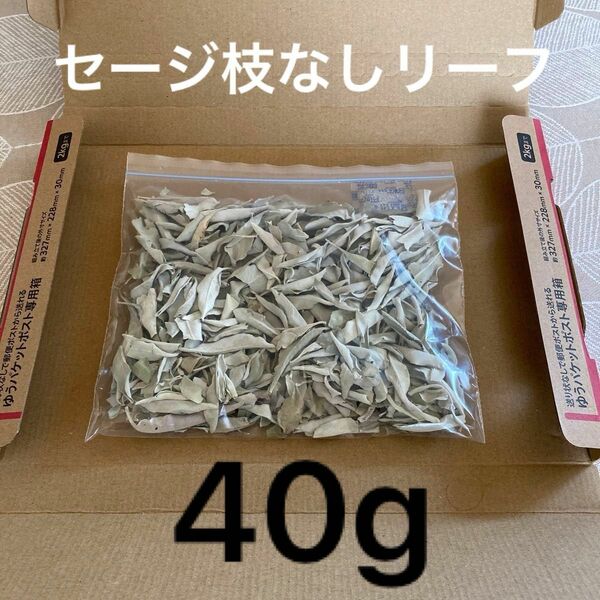 激安お買い得☆40g＜浄化☆邪気祓い☆カリフォルニア産ホワイトセージリーフ＞