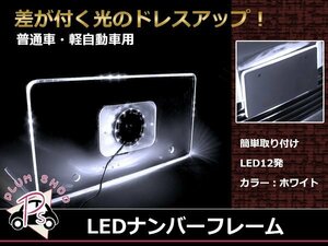 メール便送料無料 LED 12発 アクリル ナンバーフレーム ナンバープレート 1枚 ホワイト発光 12V 普通車 軽自動車 ポジション連動 白