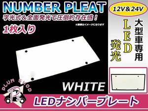 大型車 トラック ダンプ 12V 24V LED 字光式 ナンバープレート 1枚 ホワイト 白 全面発光 大型用 イスズ ISUZU 日野 HINO 三菱ふそう