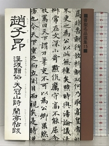 書聖名品選集15趙子昂 (書聖名品選集 15) マール社 桃山艸介