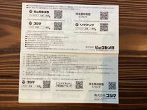 【送料無料】ビックカメラ/コジマ株主優待券15,000円分_画像2