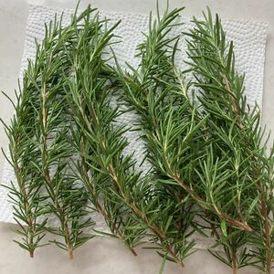  less pesticide rosemary 10ps.