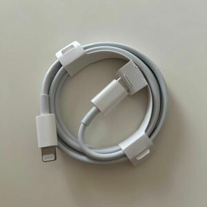 iPhone8 USB-C - Lightningケーブル タイプC 新品・未使用 Apple ライトニングケーブル