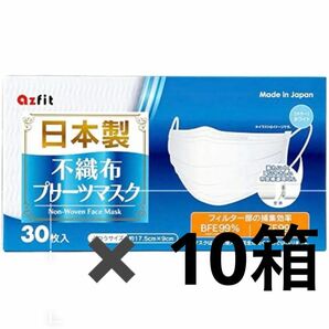 日本製不織布プリーツマスク ふつう30枚　10箱