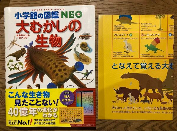 大むかしの生物 （小学館の図鑑ＮＥＯ　１２） 特大ポスターつき